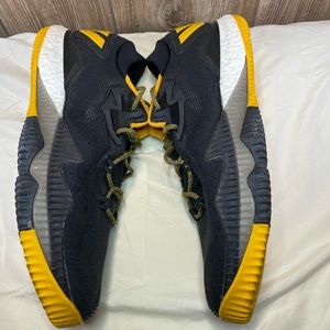 Men's Adidas Crazylight Boost Low 2016 New